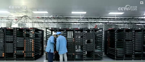 多领域鼓足干劲开局良好 软件研发与技术服务为中国经济注入强劲动能