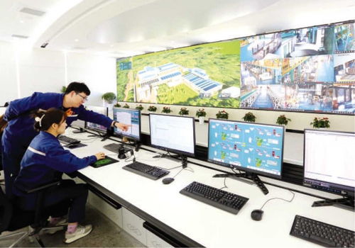 雨山奋楫 在高质量发展新实践中谱写软件研发与技术服务的时代华章