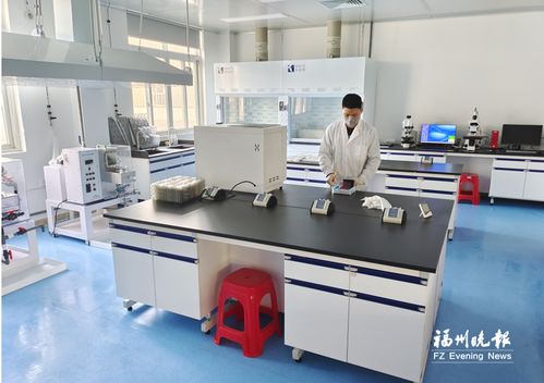 钰融科技 以软件研发与技术服务的创新突破，实现国产替代进口的跨越